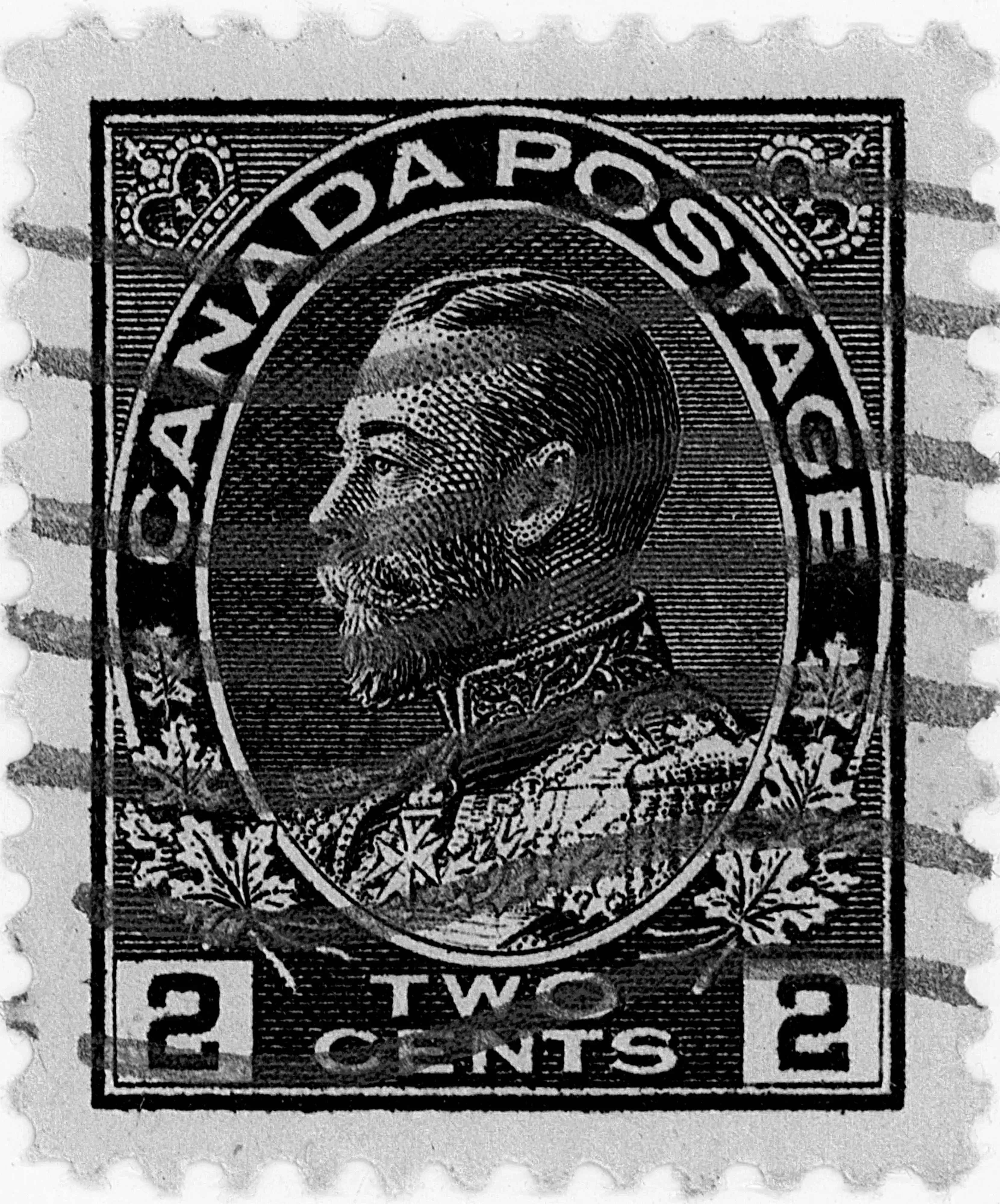 2¢C t z 14 cd bu.webp